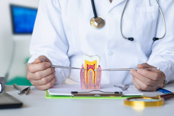 Best Emergency Dental Care for Abscessed Tooth in Blowing Rock, NC